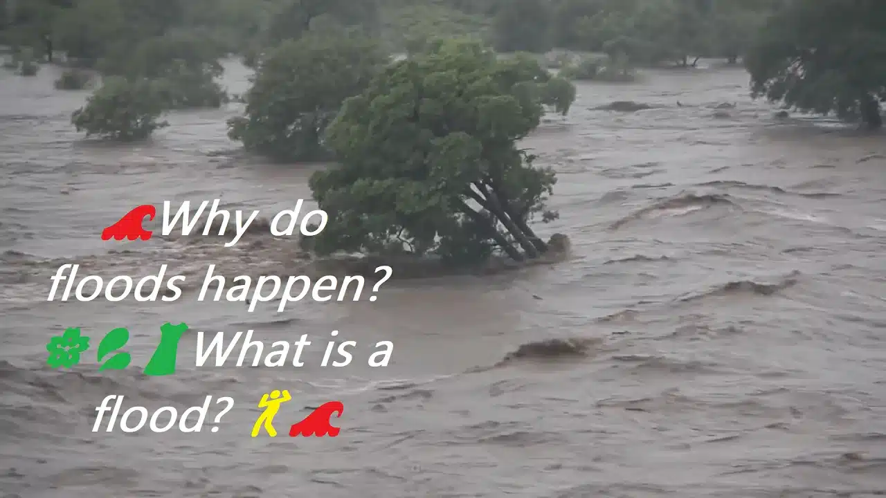 🌊Why do floods happen?  🌸💦👗What is a flood? 💃🌊