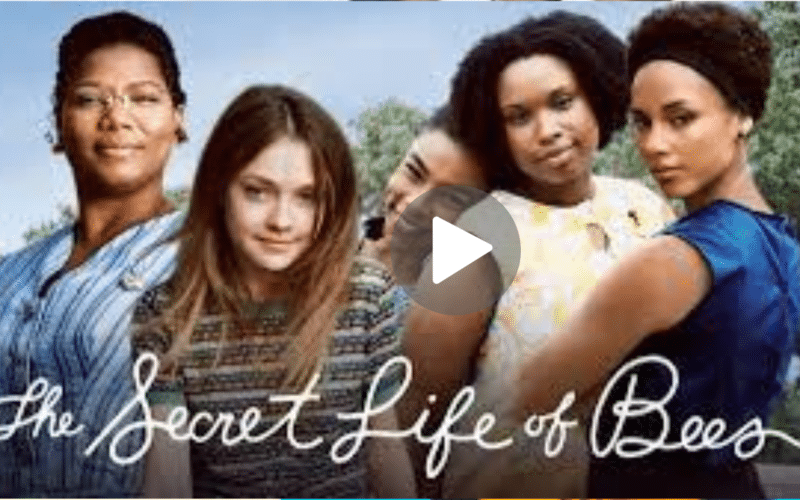 The Secret Life of Pets 2Movie Download (2024) Dual Audio Full Movie 720p | 1080p