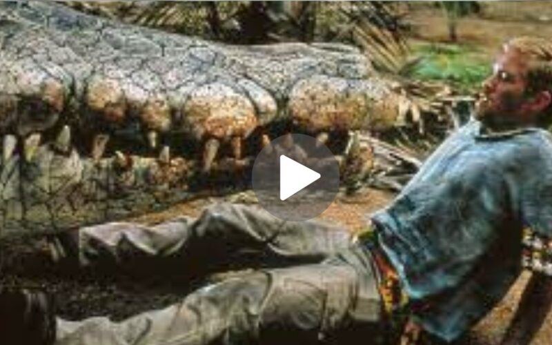 Crocodile 2: Death SwampMovie Download (2024) Dual Audio Full Movie 720p | 1080p