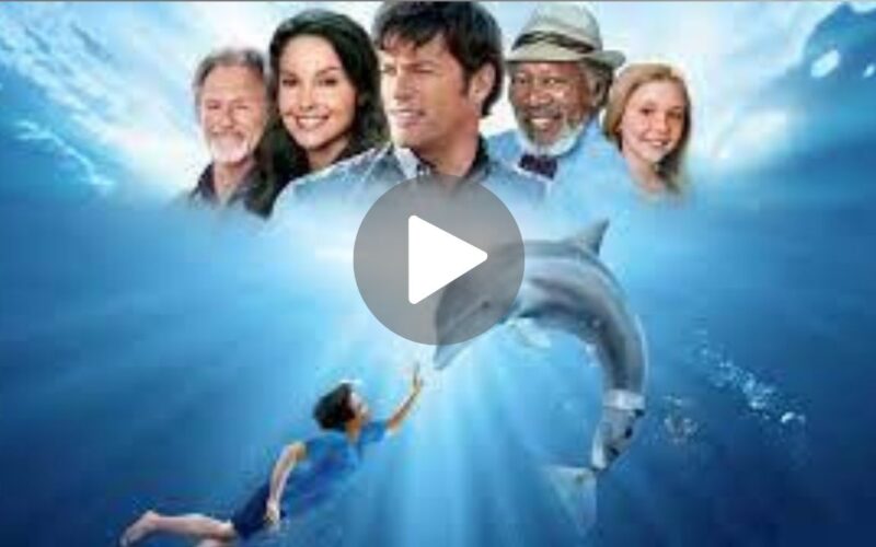 Dolphin Tale Movie Download (2024) Dual Audio Full Movie 480p | 720p | 1080p