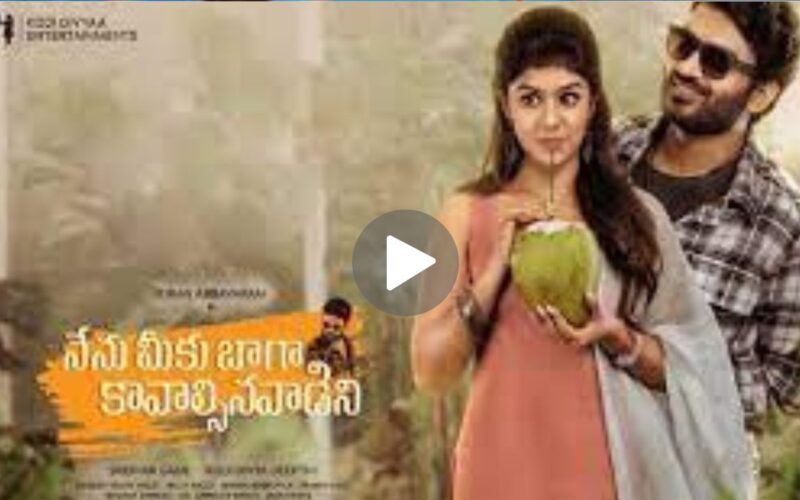 Nenu Meeku Baaga Kavalsinavaadini Movie Download (2024) Dual Audio Full Movie 480p | 720p | 1080p