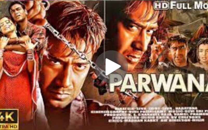 Parwana Movie Download (2024) Dual Audio Full Movie 480p | 720p | 1080p