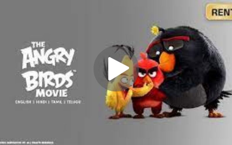 The Angry Birds Movie Download (2024) Dual Audio Full Movie 480p | 720p | 1080p