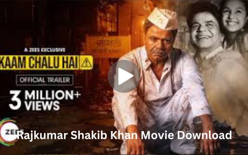 Kaam chalu hai Move Download (2024) Dual Audio Hindi Dubbed + English 480p | 720p | 1080p