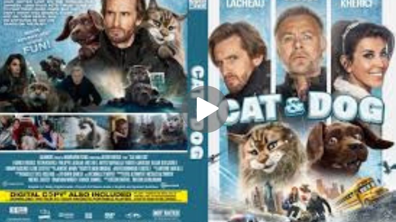 Chien et chat Movie Download