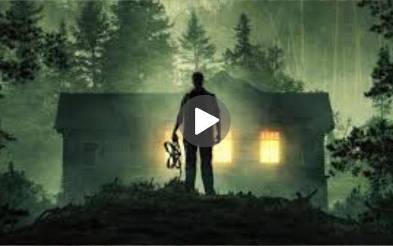 Stranger In The Woods Movie Download (2024) Dual Audio Full Movie 480p | 720p | 1080p