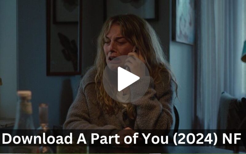 Download A Part of You (2024) NF WEB-DL Dual Audio {Hindi-English} 480p | 720p | 1080p